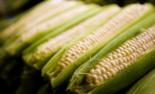 玉米含甜蜜素?真相解析与安全食用指南