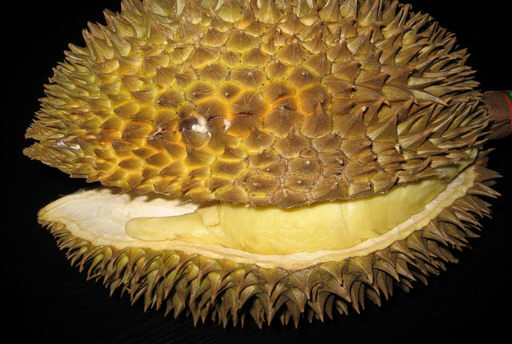 榴蓮不能和什麼東西一起吃？9大禁忌食物及原因解析