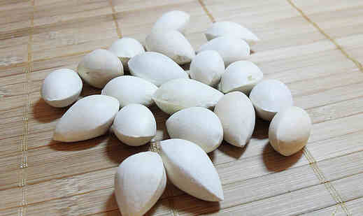 白果的食用禁忌与功效须知