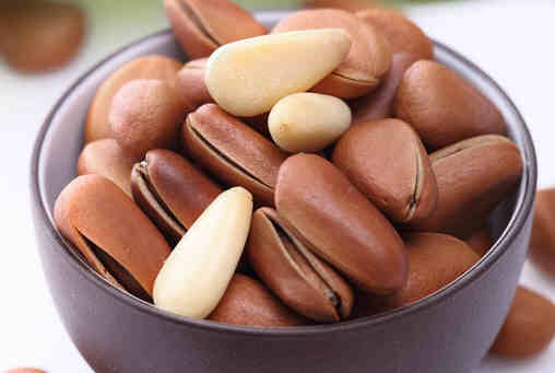 松仁食用禁忌与功效全解