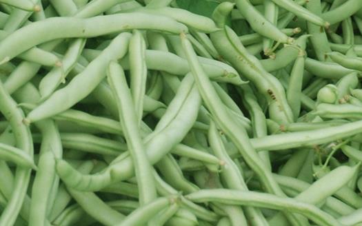 四季豆與黃花菜正確吃法兒童蔬菜飲食安全注意事項