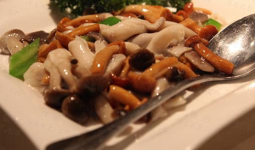 素食真能让人长寿吗？科学解析背后的真相