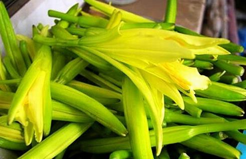 黃花菜食用安全指南:避免中毒的正確方法