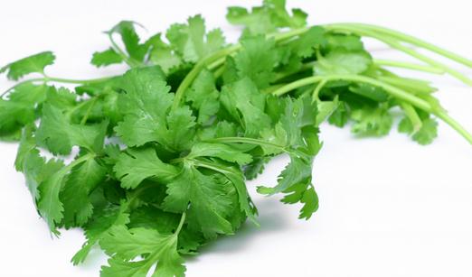 感冒時應避免食用香菜？體質與食用建議解析