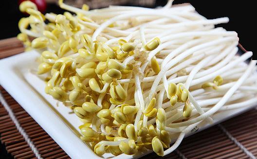 發芽食物能不能吃?3種禁用4種可吃