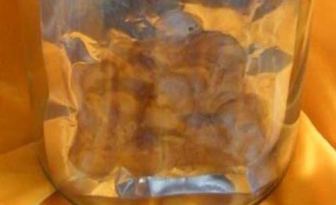 鹿茸泡酒的正確與禁忌：須知事項全解析