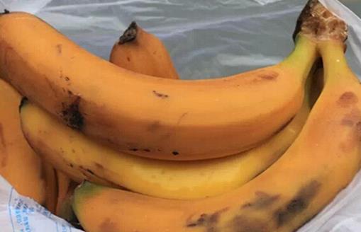 食物掉地上、長霉點還能吃嗎？食品微生物學專家教你判斷