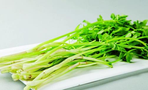 怎麼吃芹菜才能夠降壓 正確吃法與功效