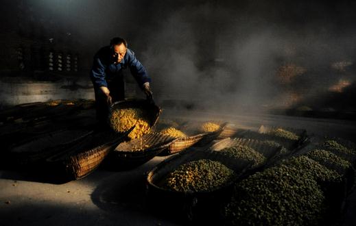 解答自酿葡萄酒的常见疑问