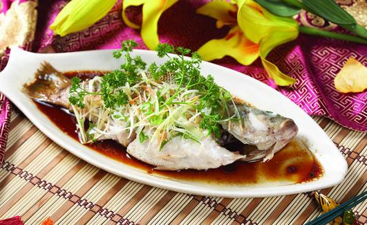 秋季吃鲈魚養胃佳選：功效與美味食譜