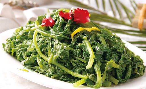 养生野菜的挑选与食用指南