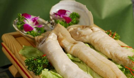 象拔蚌是什麼?象拔蚌的做法與食譜