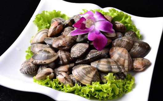 花蛤的营养价值与烹饪做法