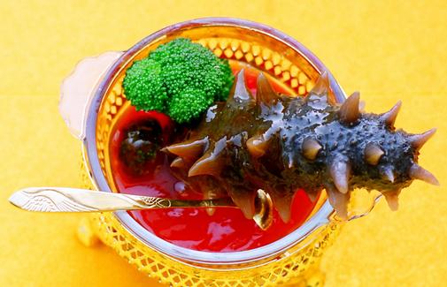 海參介紹與料理做法：海參羊肉湯、蔥爆海參