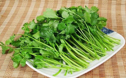 芫荽是什麼?芫荽怎麼做好吃?凉拌香菜與香菜牛肉絲做法