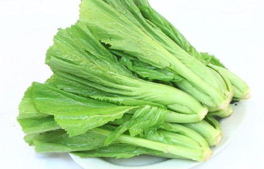 葉用芥菜知多少：定義、種植與烹調指南