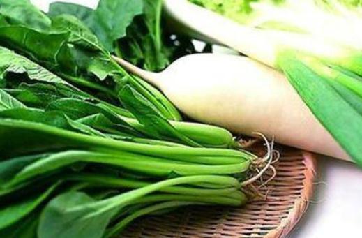 洋大頭菜知多少:定義、栽培特徵與國際烹調做法