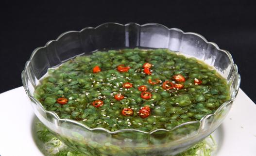 榆錢怎麼吃？榆錢的吃法與做法