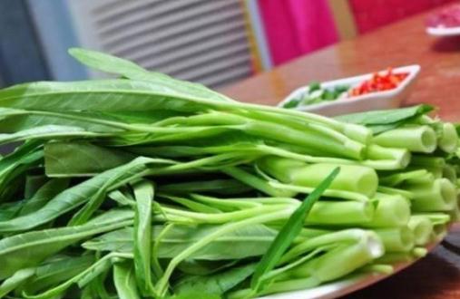 通心菜介紹 通心菜是什麼?通心菜的做法教學