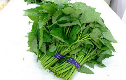 空心菜是什麼?詳解空心菜的做法與特色