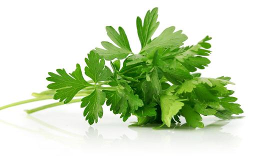 芹菜的種類與特色及兩款家常做法