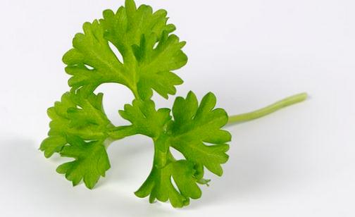 歐芹介紹與烹調方法:羅勒歐芹汁與蜜豆煎牛扒