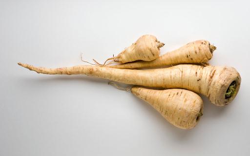 歐防風是什麼?歐防風的吃法與營養價值