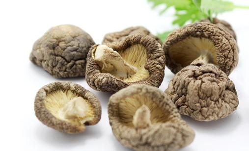 珍珠菇的功效與做法