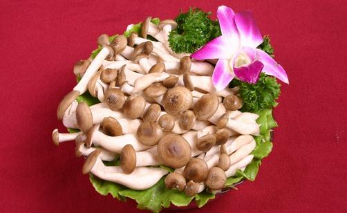 蟹味菇的营养价值与食谱:虾仁芦笋炒蟹味菇
