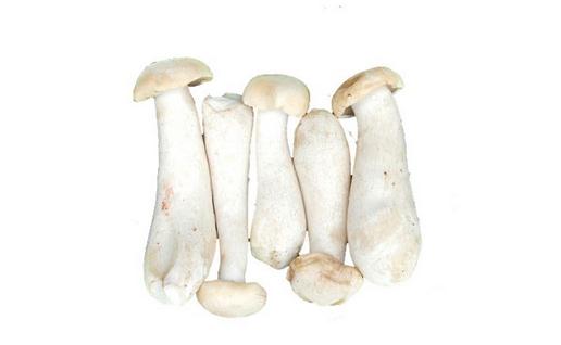金福菇的功效与做法：营养菌菇的烹饪指南