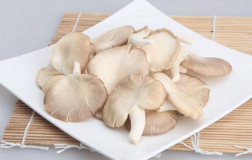 吃鳳尾菇好嗎？鳳尾菇營養與美味烹調法全解析
