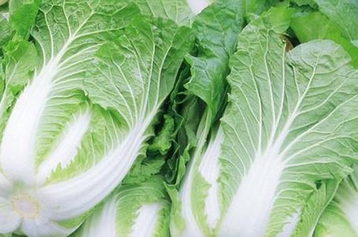 大白菜的家常烹饪妙招与营养价值