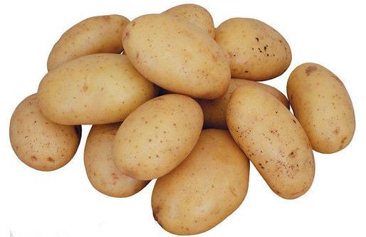 土豆營養價值與烹調技巧 介紹幾種土豆做菜的竅門