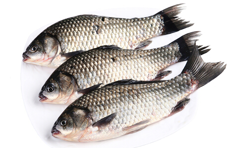 魚的大小決定口感:八分大最適合烹饪