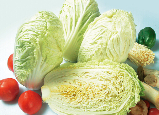 鲜虾碧玉白菜包的做法与多种白菜美味食谱