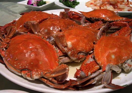 三疣梭子蟹的食譜與營養價值介紹