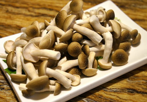 珍珠菇的烹饪指南与营养价值