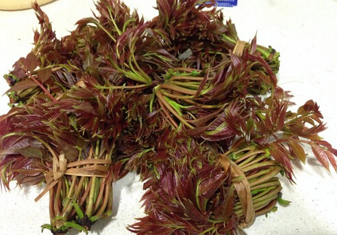 香椿炒鸡蛋怎么做：家常食谱与技巧