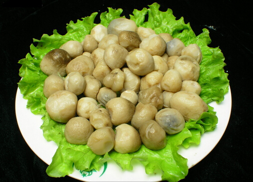草菇怎么做营养好吃?健康做法推荐