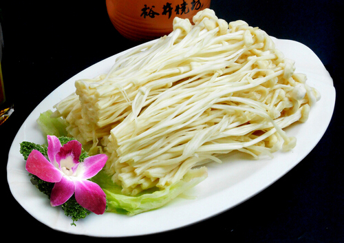 金针菇怎么做?金针菇的做法大全