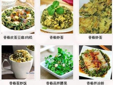 香椿怎麼做好吃?香椿的做法 香椿的幾種美味做法|香椿拌豆腐與香椿豆腐肉餅