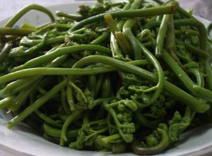 蕨菜怎麼做好吃?蕨菜的做法大全