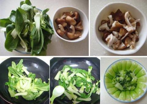 油菜怎么做才好吃?全面做法与功效介绍