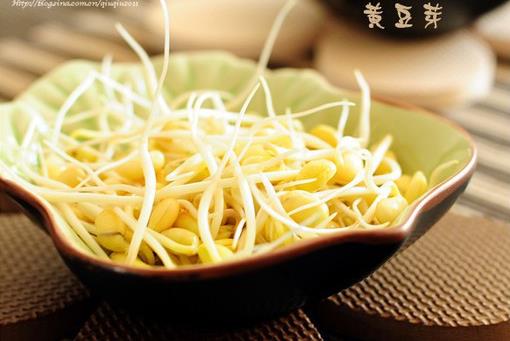 黃豆芽怎麼做好吃?黃豆芽的烹饪技巧與營養價值