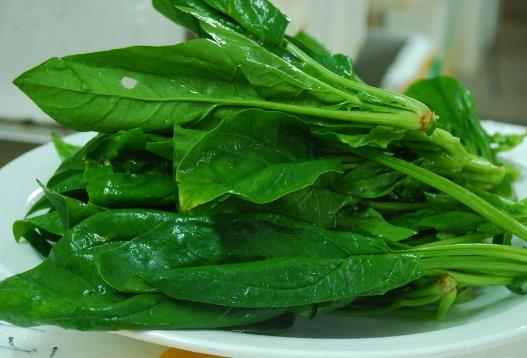 菠菜怎樣吃更有營養？健康食用菠菜指南