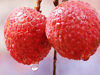 如何快速剝荔枝皮?荔枝皮怎麼剝不傷手