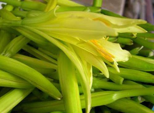 黃花菜怎麼做好吃？黃花菜的吃法與技巧