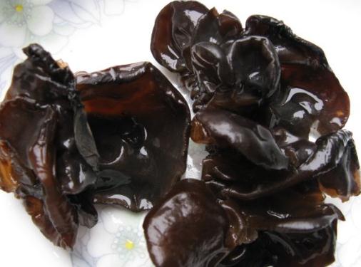 干木耳泡發時間與方法：黑木耳正確泡發技巧