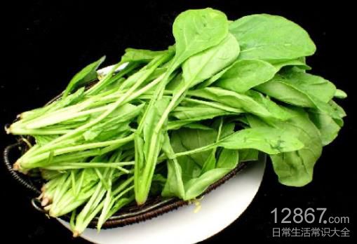 菠菜能否生吃？解析草酸风险与正确食用方法
