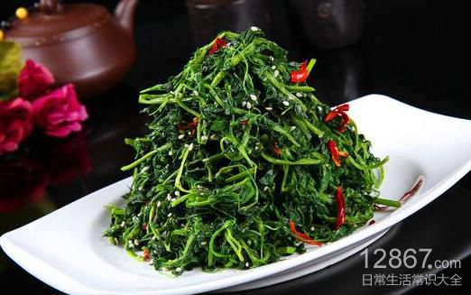 秋季降火必看：6款清热蔬菜与饮食指南